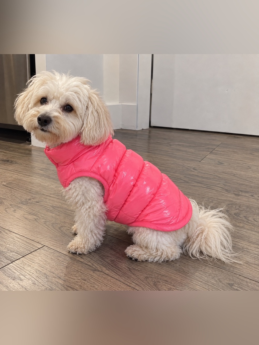 Dog Winter Puffer Jacket Size L pink Warm Pet Coat ,Dog Clothes Cozy